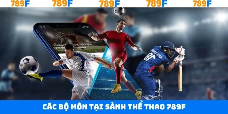 Một vài môn thể thao được ưa chuộng ở sảnh cược