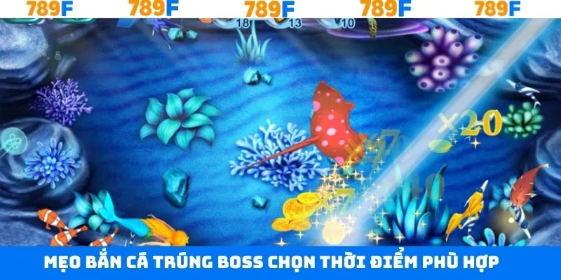 Chọn thời điểm ca lớn xuất hiện để tấn công dồn dập