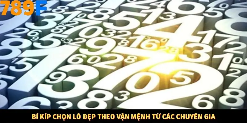 Bí kíp chọn lô đẹp theo vận mệnh từ các chuyên gia