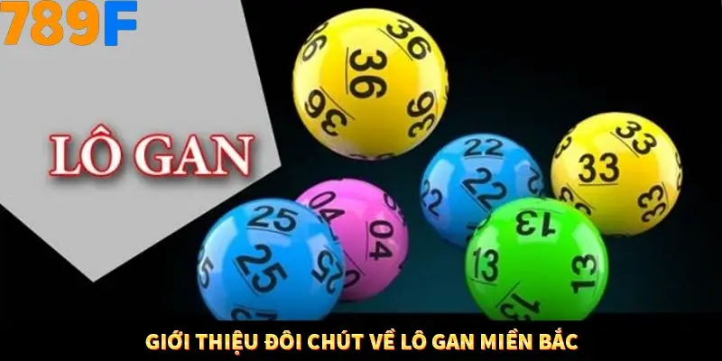 Giới thiệu đôi chút về lô gan miền Bắc
