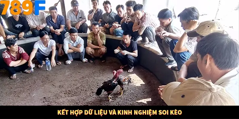 Kết hợp dữ liệu và kinh nghiệm soi kèo