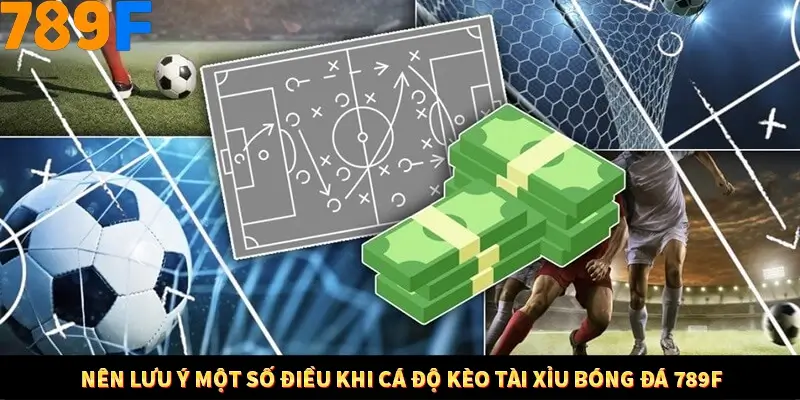 Nên lưu ý một số điều khi cá độ kèo tài xỉu bóng đá 789F