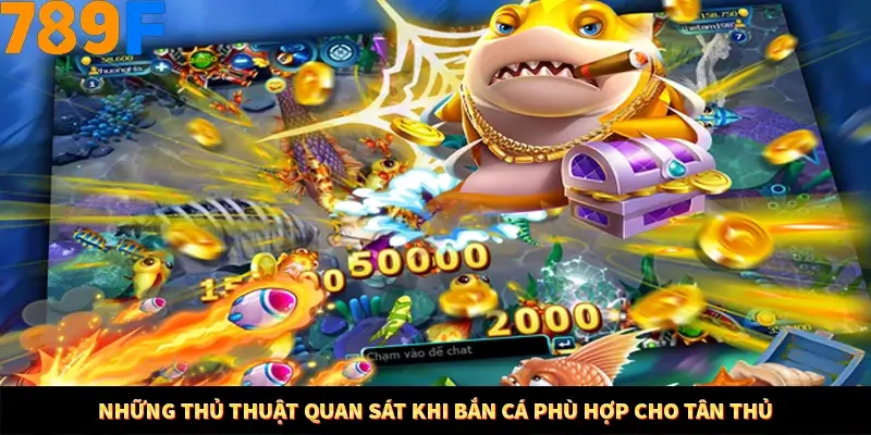 Những thủ thuật quan sát khi bắn cá phù hợp cho tân thủ