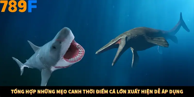 Tổng hợp những mẹo canh thời điểm cá lớn xuất hiện dễ áp dụng