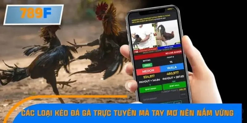 Hiểu rõ từng dòng gà trước khi đặt cược