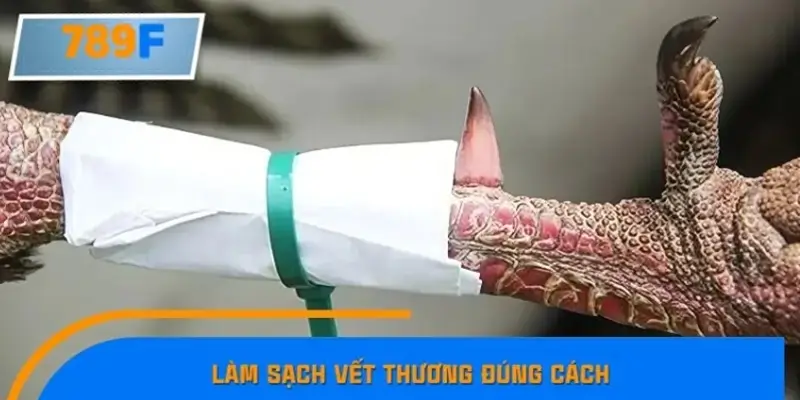 Làm sạch vết thương đúng cách